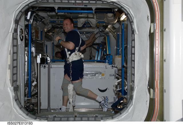 NASA image: Garan Exercises on the T2