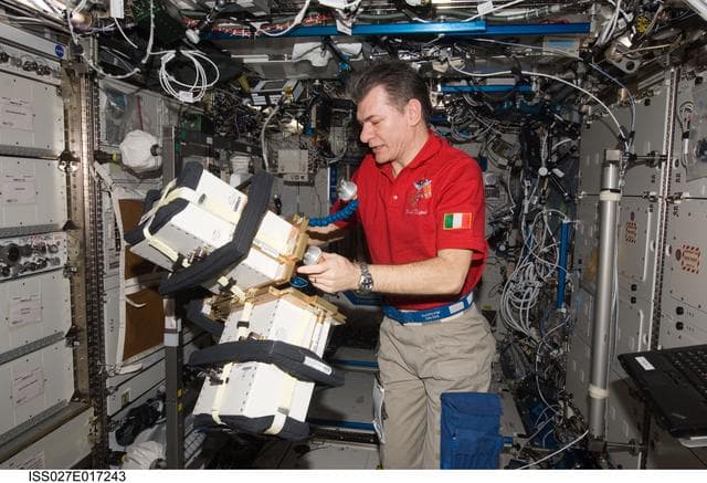 NASA image: Nespoli works with ALTEA-SHIELD Hardware in the US Laboratory