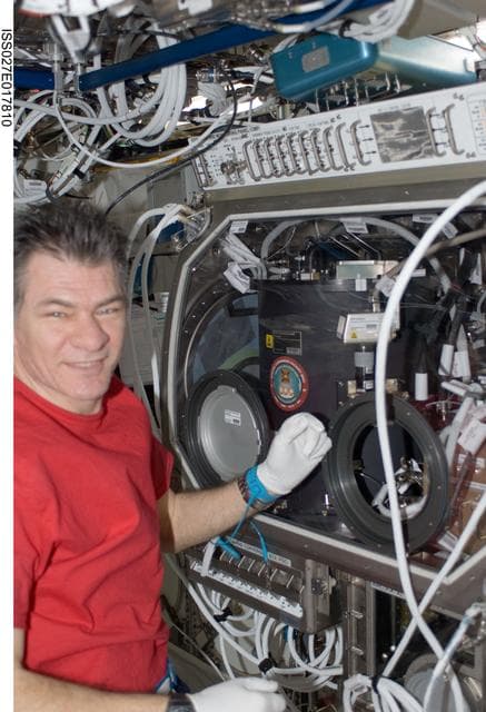 NASA image: Nespoli works with BXF Hardware in the US Lab MSG