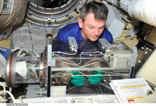 NASA image: Alexander Samokutyaev conducts BTKh-14/Bioemulsiya (Bioemulsion) Experiment