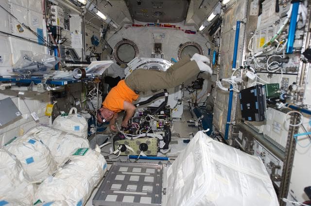 NASA image: View of STS-134 MS Michael Fincke working on the CDRA