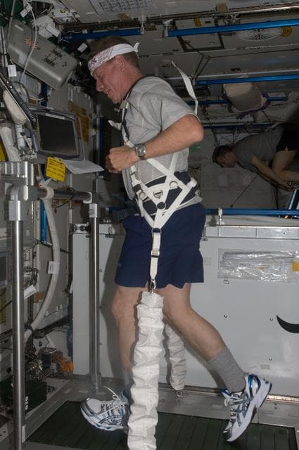 NASA image: View of FE Fossum exercising on the COLBERT/T2 Treadmill