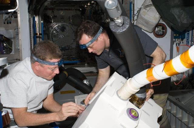 NASA image: Expedition 28 Crew Members during IFM