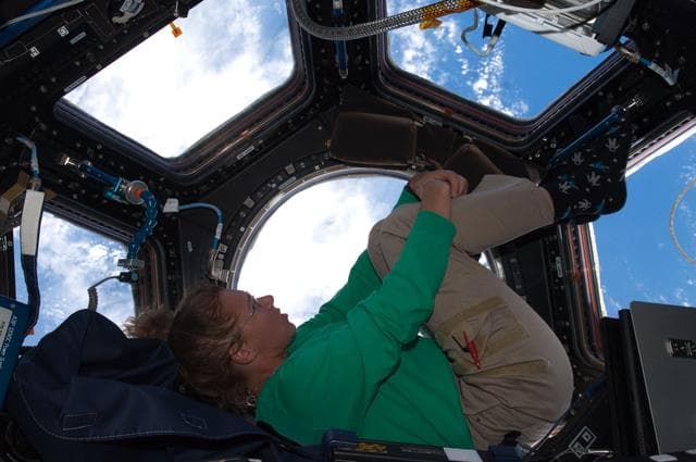 NASA image: STS-135 MS Magnus in the Cupola