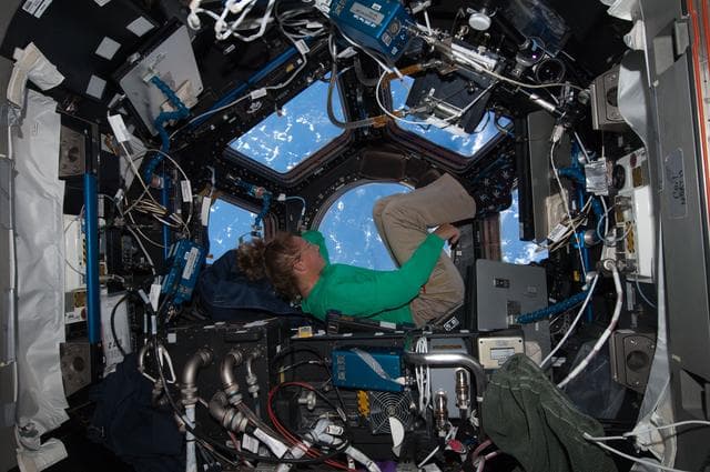 NASA image: STS-135 MS Magnus in the Cupola