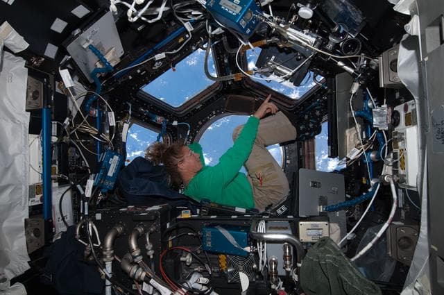 NASA image: STS-135 MS Magnus in the Cupola