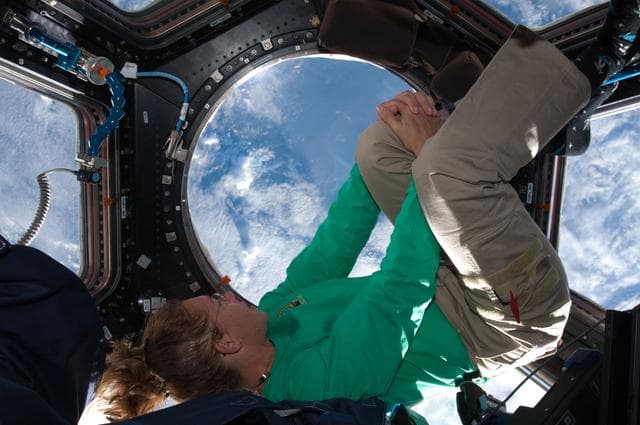 NASA image: STS-135 MS Magnus in the Cupola