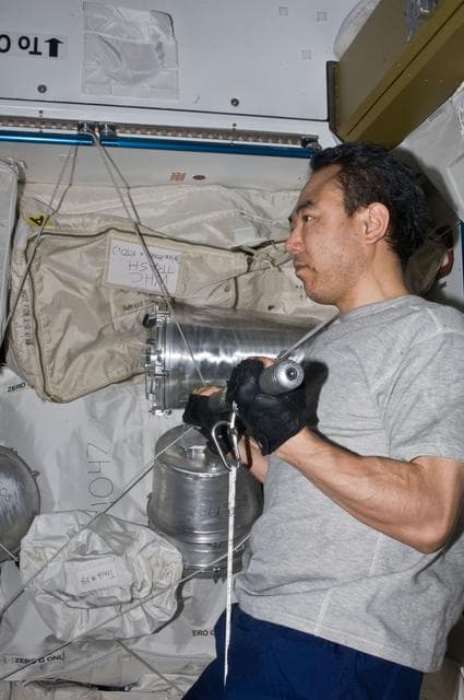 NASA image: FE Furukawa exercising with the ARED