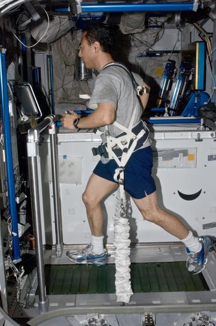 NASA image: FE Furukawa exercising on the T2 Treadmill