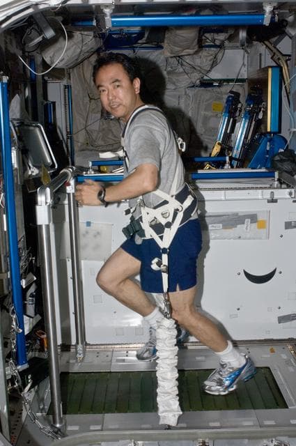 NASA image: FE Furukawa exercising on the T2 Treadmill