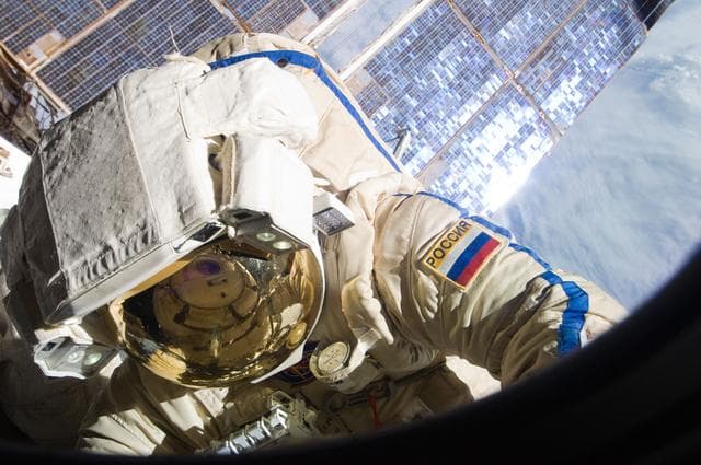 NASA image: View taken during EVA 29