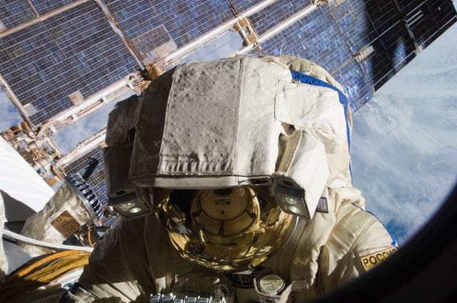 NASA image: View taken during EVA 29