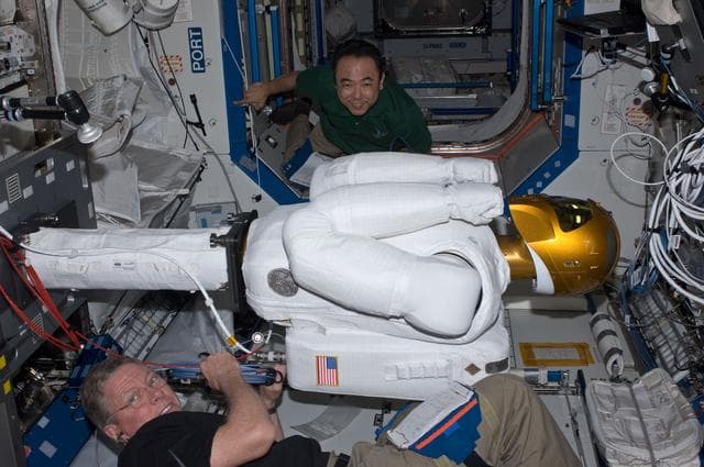 NASA image: iss028e030093