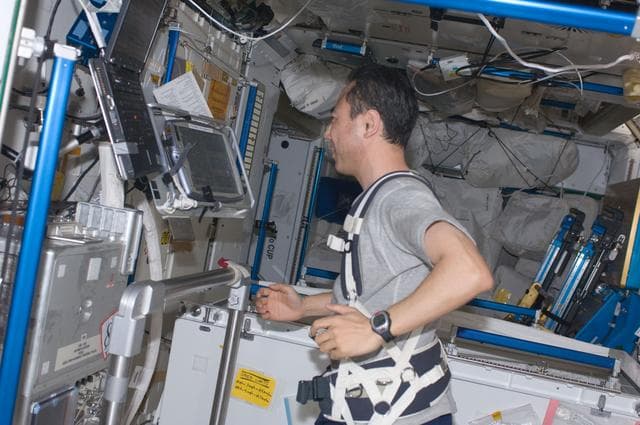 NASA image: iss028e034131