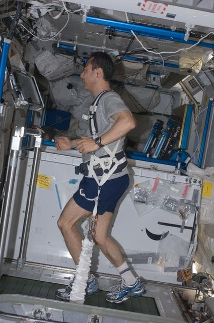 NASA image: iss028e034133