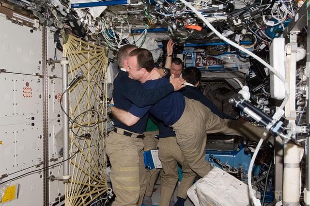 NASA image: iss028e050091