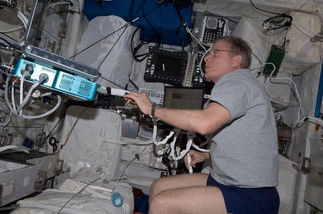 NASA image: FD115 (Flight Day 115) SPRINT leg muscle self scan