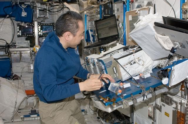 NASA image: CGBA-5/CSI-5 (Commercial Generic Bioprocessing Apparatus 5 / Science Insert-05) experiment