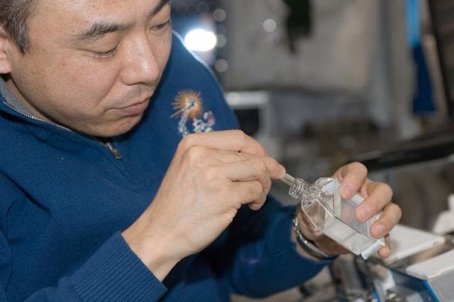 NASA image: CGBA-5/CSI-5 (Commercial Generic Bioprocessing Apparatus 5 / Science Insert-05) experiment