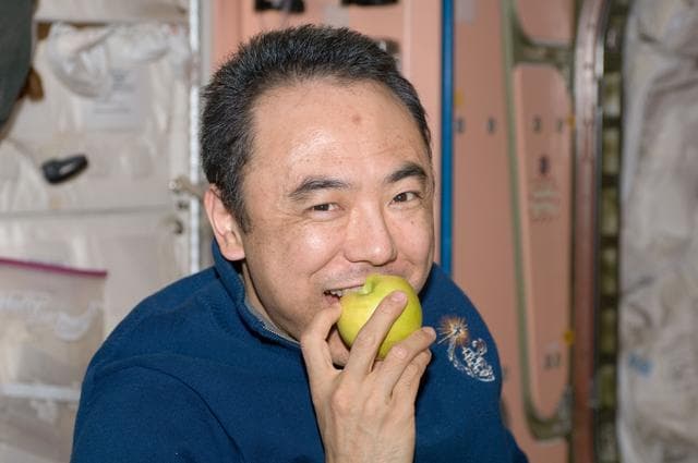 NASA image: Furukawa with apple