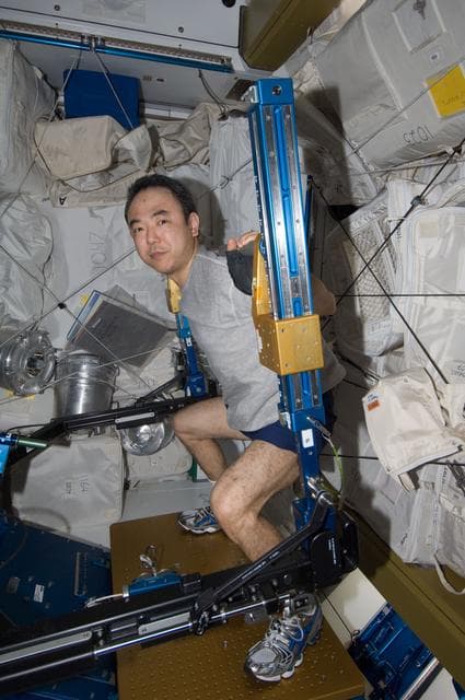NASA image: Furukawa using ARED in Node 2