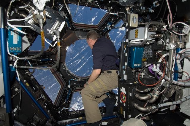 NASA image: Fossum at Cupola windows