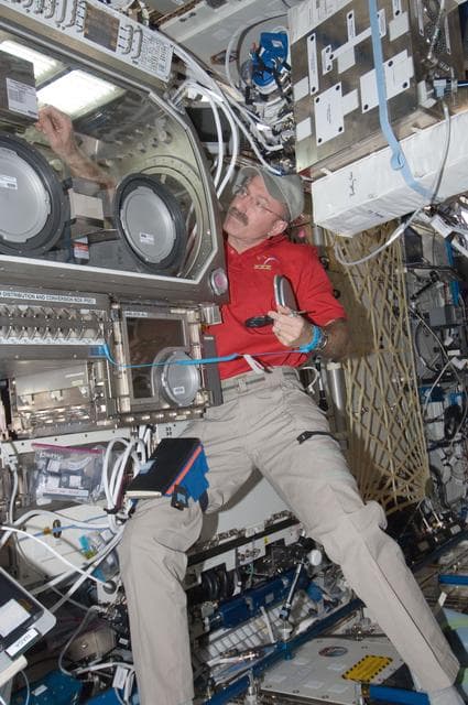NASA image: Burbank works at the MSG