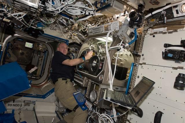NASA image: Kuipers works at the MSG in the U.S. Laboratory
