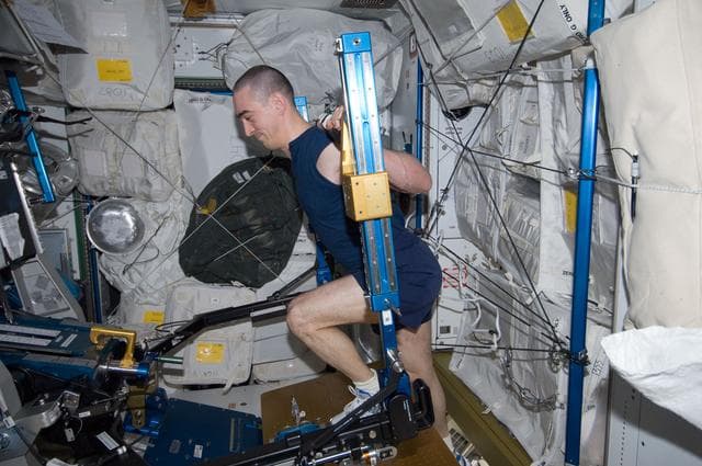 NASA image: Ivanishin exercises on the ARED in the Node 3