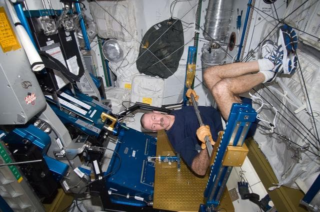 NASA image: Burbank exercises on the ARED in the Node 3