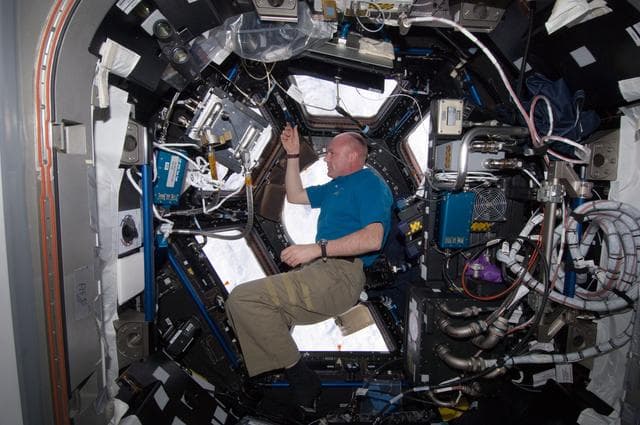 NASA image: Kuipers looks out window in the Cupola Module