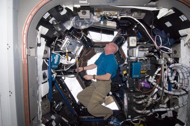 NASA image: Kuipers looks out window in the Cupola Module