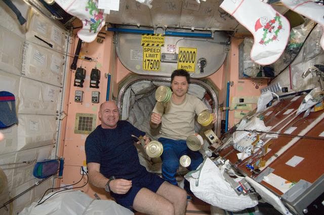 NASA image: Kuipers and Kononenko in the Node 1