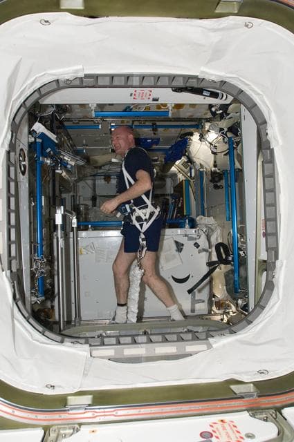 NASA image: Kuipers exercises on teh COL BERT in the Node 3