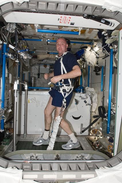 NASA image: Kuipers exercises on teh COL BERT in the Node 3