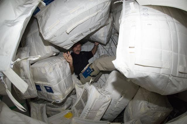 NASA image: Burbank among stowage containers in the Leonardo PMM