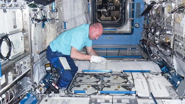 NASA image: Kuipers prepares to insert biological samples in the MELFI