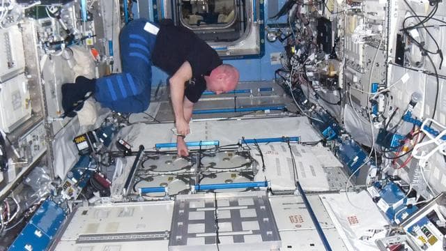 NASA image: Kuipers prepares to open the MELFI in the JPM