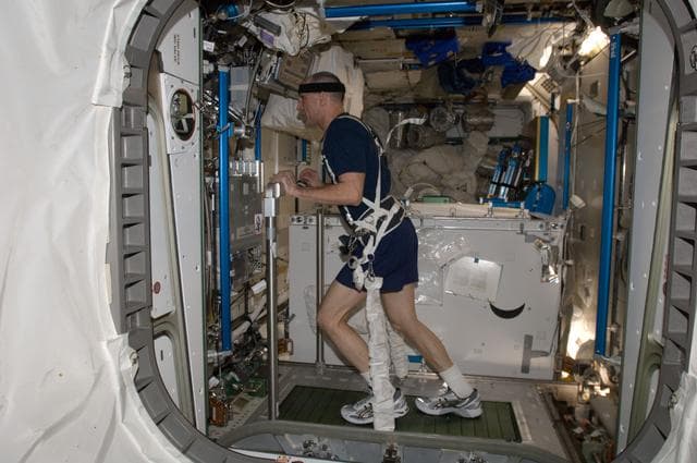 NASA image: Pettit exercises on the COLBERT in the Node 3