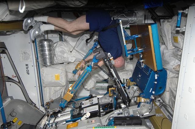 NASA image: Kuipers prepares to exercise on the ARED in the Node 3