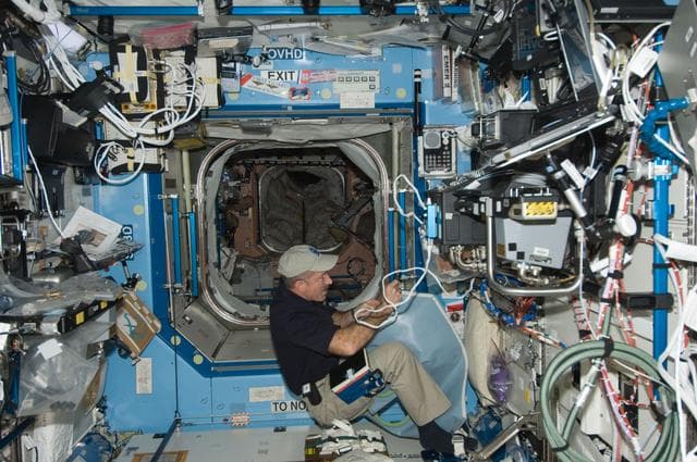 NASA image: Burbank performs maintenance on the light cover for the MSG