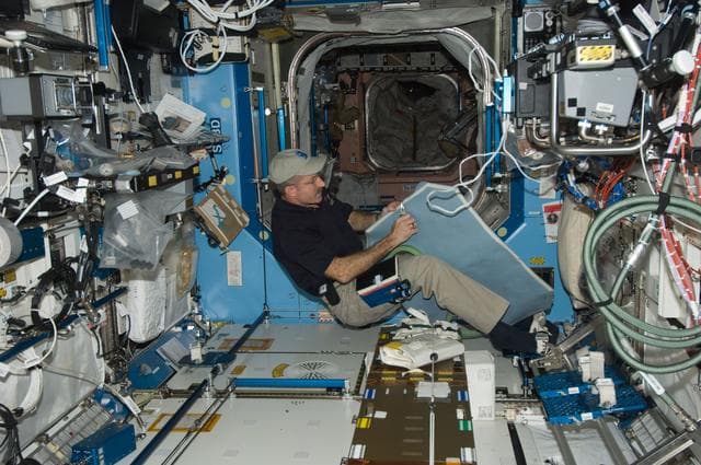 NASA image: Burbank performs maintenance on the light cover for the MSG