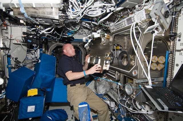 NASA image: Kuipers works with DSC Hardware in the U.S. Laboratory