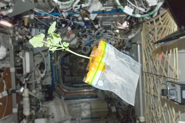 NASA image: UT081 SMS3,4_266B