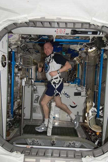 NASA image: Kuipers exercises on the T2 / COLBERT in the Node 3