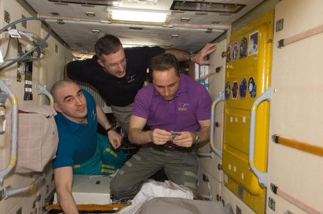 NASA image: Expedition 30 crewmembers prepare to add Soyuz TMA-22 Patch