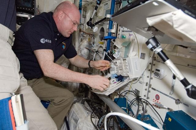NASA image: Immune Blood Sample Draw