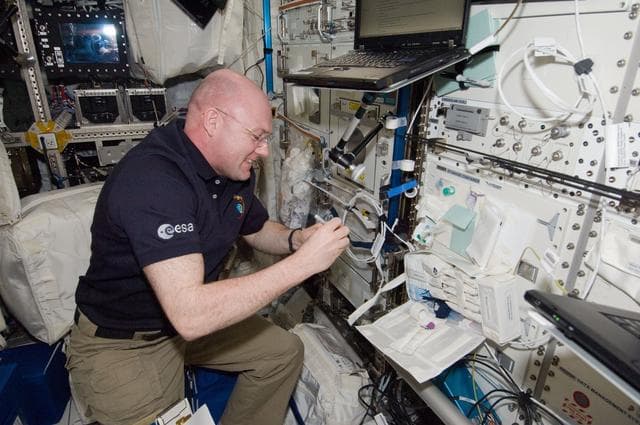 NASA image: Immune Blood Sample Draw