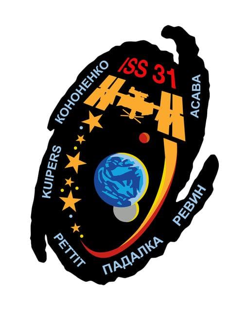 NASA image: iss031-s-001