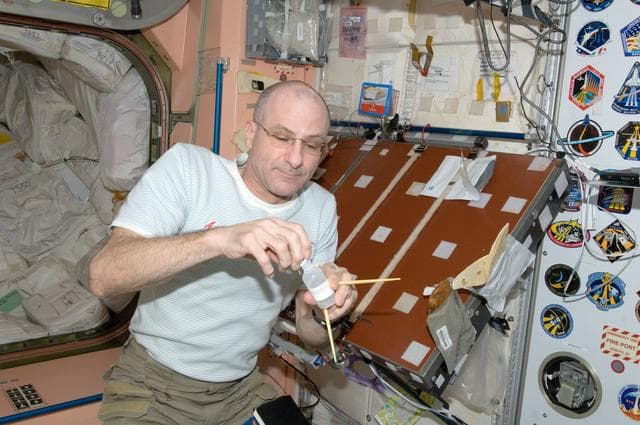 NASA image: Pettit in Node 1